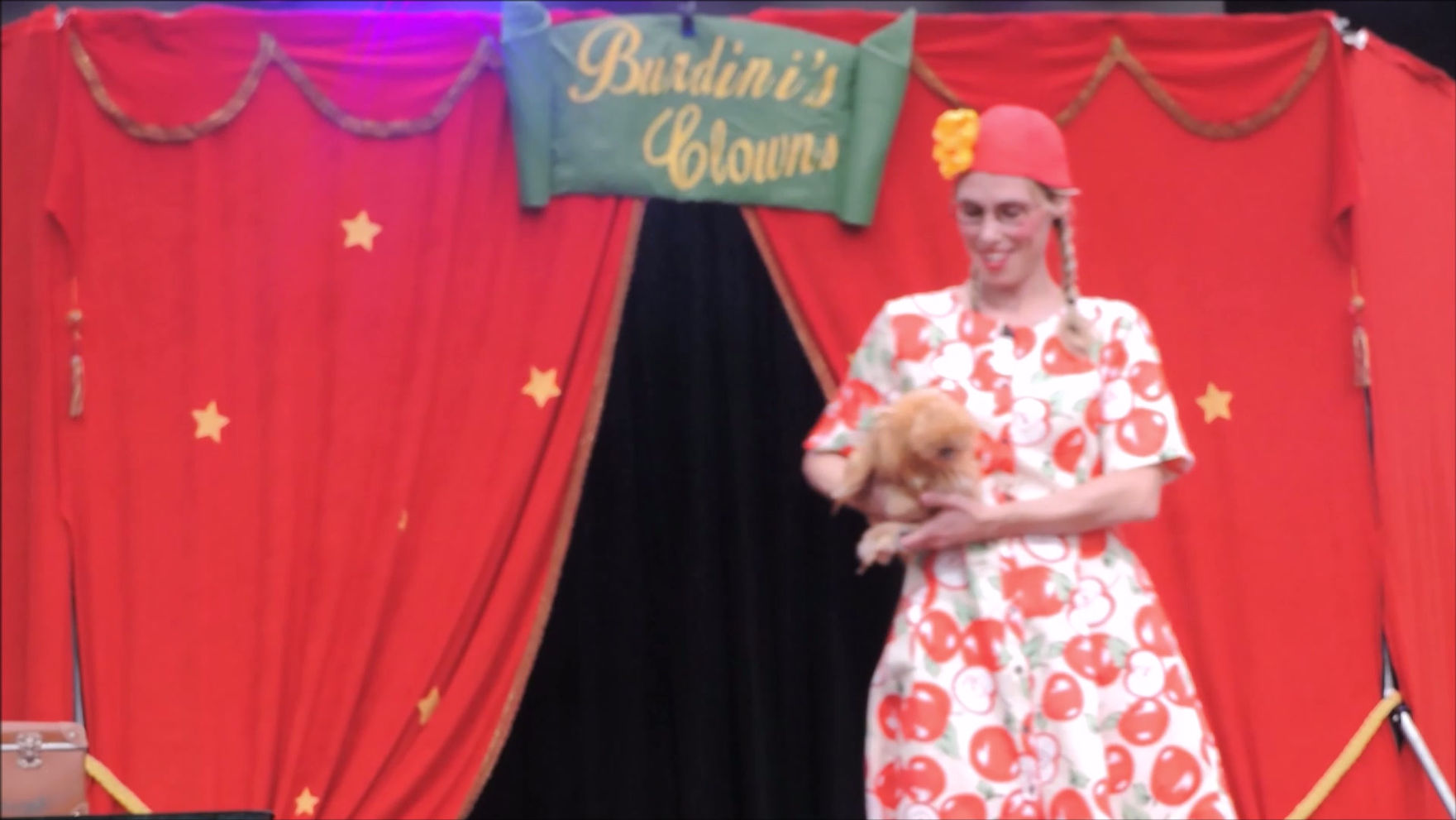 compagnie Burdini's LES BURDINI'S CLOWNS